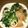 oskat's cooksnap of when they made 小松菜とイカのピリ辛あんかけ炒め.