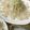 Remtan's cooksnap of when they made ＊白身魚のカルパッチョ風サラダ＊.