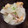 __なーちゃん__'s cooksnap of when they made 大根と厚揚げの甘味噌煮　味噌と砂糖のみ.