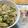 けいすけmt_ksk's cooksnap of when they made 新茶☆枝豆ごはん.