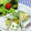 ととろ＆めい's cooksnap of when they made いんげんとゆで卵のサラダ.