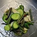 野菜大好きミーバ☆'s cooksnap of when they made 山菜食べよう！　ワラビのお漬物.