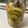 クックDMEKPK☆'s cooksnap of when they made 青いトマトのピクルス.