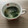 puniＫ's cooksnap of when they made もやしとワカメの　簡単　鶏ガラスープ❤.