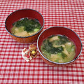 みかかめ's cooksnap of when they made 美味しい（正しい）ワカメのおみそ汁.