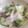 堕天使HK1007's cooksnap of when they made 白菜とちくわの塩こんぶあえ.