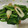 クックUW92JL☆'s cooksnap of when they made ほうれん草とのどぐろ竹輪の塩麹炒め.