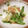 あゆ☆ウクレレ's cooksnap of when they made ごはんがすすむ!!キャベツのごまみそ炒め.