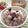 フジぽん's cooksnap of when they made ほんのり桃色♡煎り黒豆ご飯.