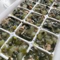 れでよと's cooksnap of when they made 離乳食中期ほうれん草と茄子のシーチキン煮.