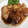 まっきー♪３７'s cooksnap of when they made ロース厚切り肉で＊しょうが焼き♪.