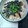 あちゅう's cooksnap of when they made 子どもと作ろう♬ちらし寿司.