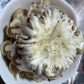 ☆じろごろ☆'s cooksnap of when they made まな板が汚れない！しめじの石づきの切り方.