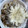 ☆じろごろ☆'s cooksnap of when they made まな板が汚れない！しめじの石づきの切り方.