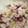 クック6DDPP8☆'s cooksnap of when they made だし炊きたこ飯.