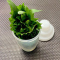 ☆あいちゃん's cooksnap of when they made やっと見つけた私流。大葉の保存法♬.