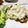 クックDGCFO3☆'s cooksnap of when they made 鰆の和風タルタル.