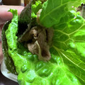 toshio39's cooksnap of when they made シャキシャキ！たのしい！筍と牛簡単海苔巻.