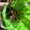 toshio39's cooksnap of when they made シャキシャキ！たのしい！筍と牛簡単海苔巻.