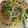 手抜きクック's cooksnap of when they made 牛オイスター焼きそば.