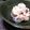 etsukoooo's cooksnap of when they made タコとクリームチーズの明太子和え.