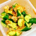 はちみつlove's cooksnap of when they made 叩き胡瓜とキムチの即席漬け.