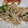 fu♪♪'s cooksnap of when they made もやしとピーマンとツナ缶の塩胡椒炒め.