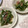 明日の風☆'s cooksnap of when they made ルクエで★簡単♪ピーマンの煮びたし.