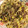 FURUFURU425's cooksnap of when they made 豚ひき肉と青ねぎの和風パスタ.