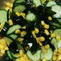 レオミウ's cooksnap of when they made きゅうりとわかめとコーンの中華風サラダ.
