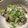 クック7RHNLT☆'s cooksnap of when they made ねぎ塩レモン豚丼.