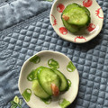 栗丸うさぎ's cooksnap of when they made きゅうりの梅和え.