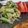 fu♪♪'s cooksnap of when they made キャベツとえのきとニラのごまポン酢あえ.