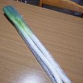 ﾋﾟﾛﾐ♡'s cooksnap of when they made 超便利な長ネギの保存方法★★★.