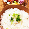 木漏れ日の台所's cooksnap of when they made 生姜の炊き込みご飯.
