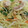 クック6DDPP8☆'s cooksnap of when they made 野菜たっぷり♡本当に美味しい塩焼きそば.
