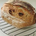 ぴのっちです's cooksnap of when they made ライ麦のオレンジとナッツのハードパン.