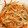 クックZUBNQ5☆'s cooksnap of when they made えのきと人参のナムル.