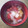 くみたんネコ's cooksnap of when they made 新たまねぎとミニトマトのスープ.