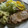 ﾌﾞﾚﾝﾀﾞ's cooksnap of when they made 種の散らばらないピーマンパプリカの切り方.