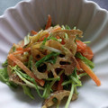 TYSK's cooksnap of when they made れんこんと水菜のしゃきしゃきサラダ.