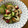 ML16CF's cooksnap of when they made タコときゅうりとちくわの酢の物♪.