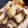 hiyoko17's cooksnap of when they made 鰤(ブリ)のあら煮 塩麹入り！.