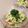 Dellaたん's cooksnap of when they made 大根とミョウガの梅サラダ.