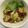 まめ郎's cooksnap of when they made そら豆と新玉ねぎのチーズ焼き.