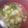 snow012's cooksnap of when they made 大根とソーセージのスープ.