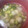 snow012's cooksnap of when they made 大根とソーセージのスープ.