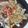 りんばたまま's cooksnap of when they made おからパウダーお好み焼き.