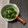 おはなすき's cooksnap of when they made にらと干し海老のささっと炒め.