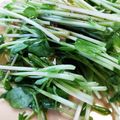 こずっぺ's cooksnap of when they made グリーンサラダ　豆苗活用.